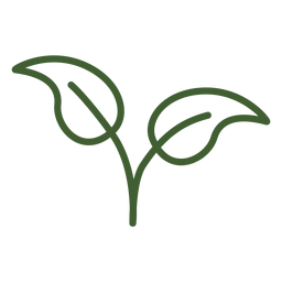Icono de dos hojas naturales Diseño PNG