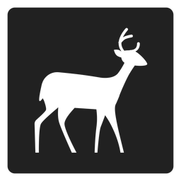 Einfache Hirschquadratikone PNG-Design