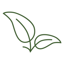 Simple leaves icon image Transparent PNG