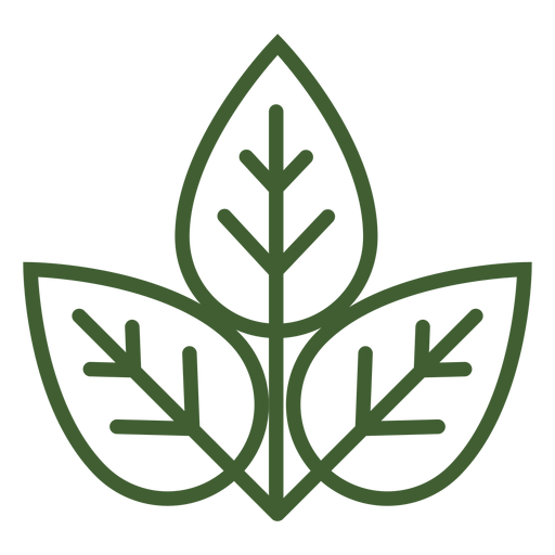 Icono de tres hojas Diseño PNG
