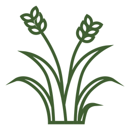 Wheat grass icon PNG Design
