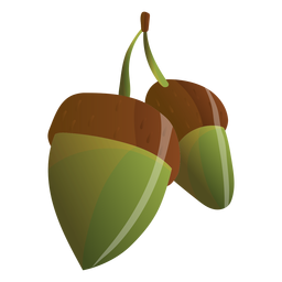 Acorns illustration PNG Design
