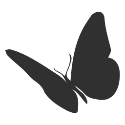 Animal butterfly silhouette Transparent PNG