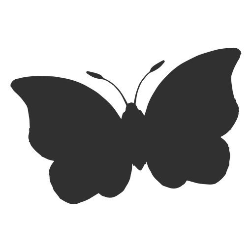 Big butterfly flying silhouette