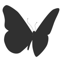 Butterfly insect silhouette Butterfly insect silhouette