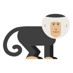 Ilustración de mono capuchino Diseño PNG