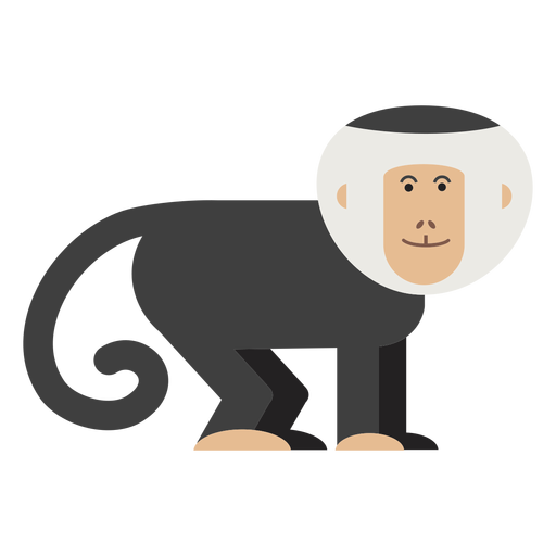 Capuchin monkey illustration PNG Design