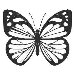 Silhueta de borboleta branca Chiricahua