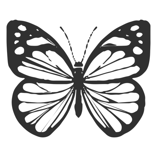 Download Chiricahua white butterfly silhouette - Transparent PNG ...