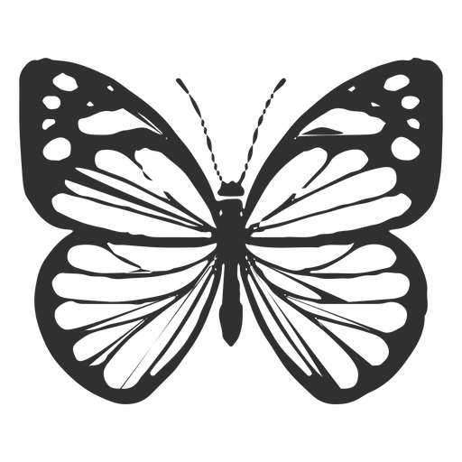 Download Chiricahua White Butterfly Silhouette Transparent Png Svg Vector File PSD Mockup Templates