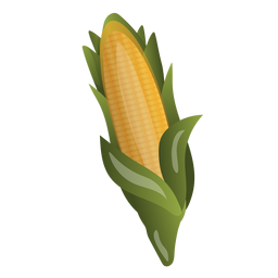 Corn illustration PNG Design Transparent PNG