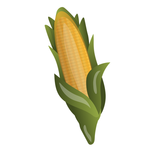 Corn illustration PNG Design