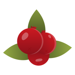 Cranberries illustration PNG Design Transparent PNG