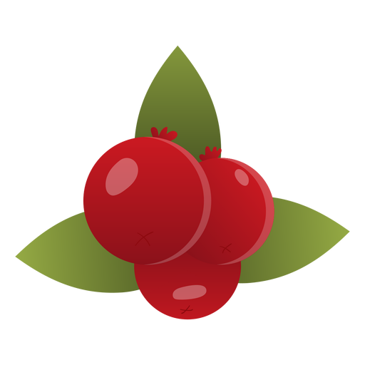 Cranberries illustration PNG Design