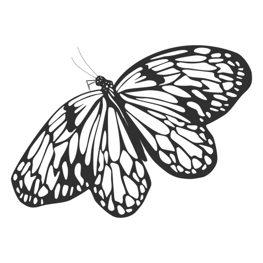 Cute butterfly flying silhouette