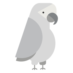 Grey parrot bird illustration Grey parrot bird illustration