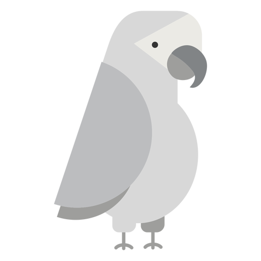 Ilustración de pájaro loro gris Diseño PNG