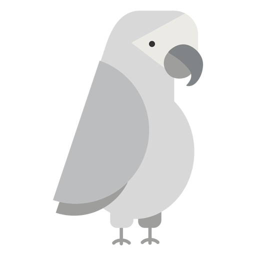 Ilustraci?n de p?jaro loro gris Diseño PNG