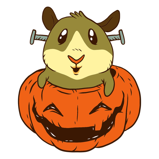 Guinea pig in pumpkin cartoon - Transparent PNG & SVG vector file