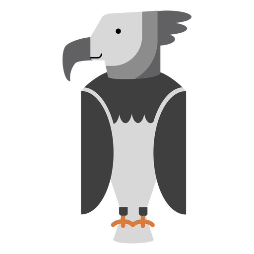 Harpy eagle bird illustration PNG Design
