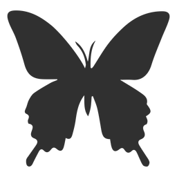 Insect butterfly silhouette Insect butterfly silhouette