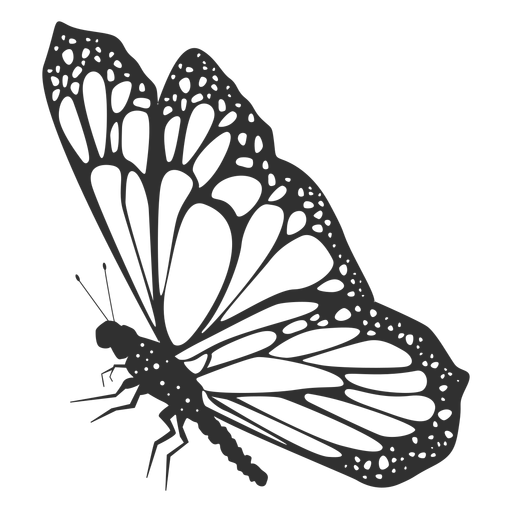 Free Free 84 Svg Side View Butterfly Silhouette SVG PNG EPS DXF File