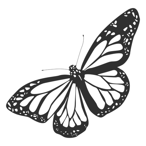 Silhueta de borboleta monarca Desenho PNG