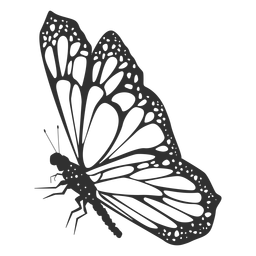 Download Butterfly silhouette - Transparent PNG & SVG vector file