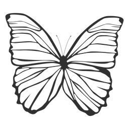 Silhueta de borboleta Morpho polyphemus Desenho PNG