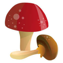 Mushrooms illustration PNG Design