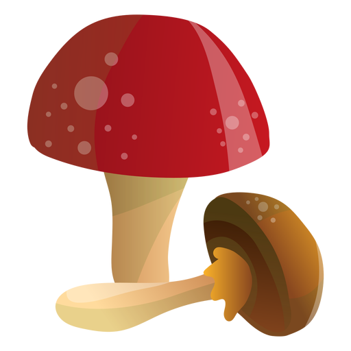 Mushrooms illustration PNG Design