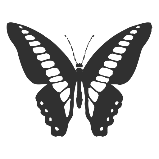 Silhueta de borboleta rabo de andorinha Ornythion