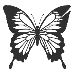 Free Free 189 Drawing Side Butterfly Svg SVG PNG EPS DXF File