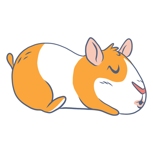 Dibujos animados de conejillo de indias para dormir Diseño PNG