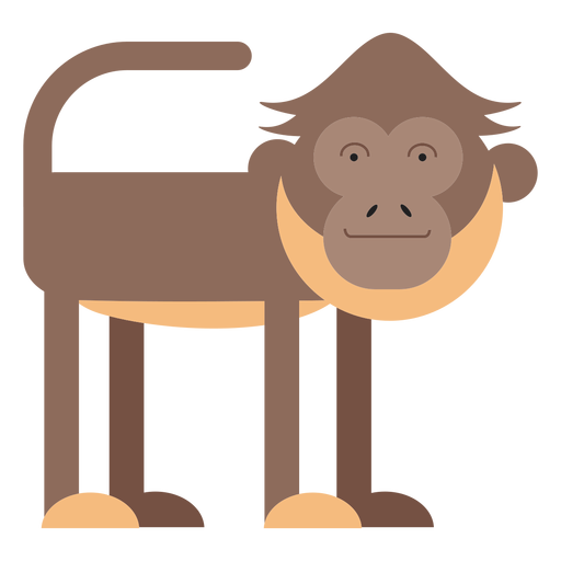 Macaco Aranha Selva - Gráfico vetorial grátis no Pixabay - Pixabay