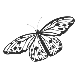 Silueta de mariposa ninfa de árbol Diseño PNG