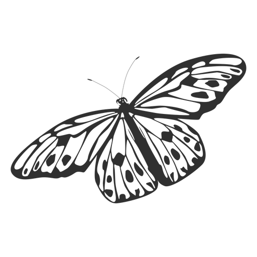 Free Free 217 Transparent Butterfly Svg Free SVG PNG EPS DXF File