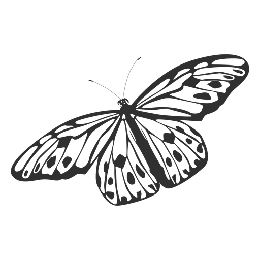 Tree nymph butterfly silhouette PNG Design