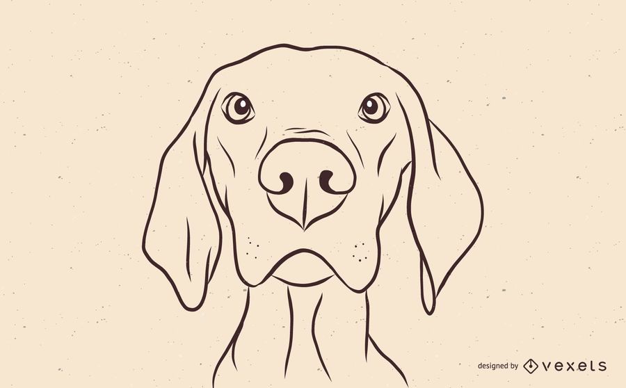 Magyar Vizsla Dog Illustration Magyar Vizsla Dog Illustration