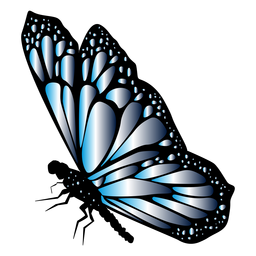 Vector de mariposa azul detallado Diseño PNG
