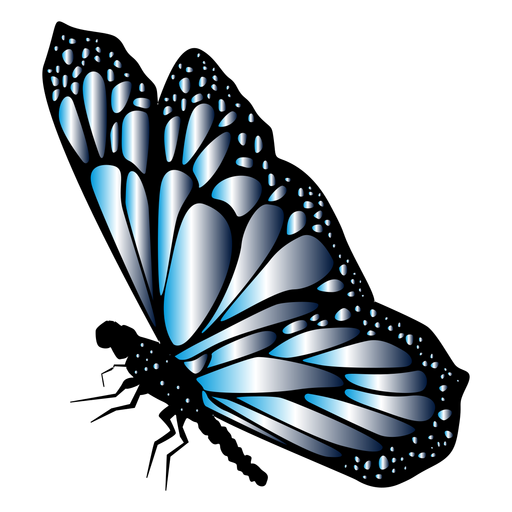 Blauer detaillierter Schmetterlingsvektor PNG-Design