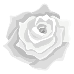 Grey rose flower icon Grey rose flower icon