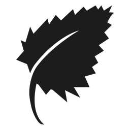 Ícone de folha de bétula preta Desenho PNG