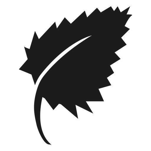 Icono de hoja de abedul negro Diseño PNG