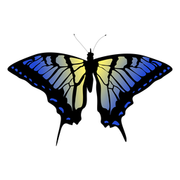 Diseño de mariposa azul y amarilla. Diseño PNG