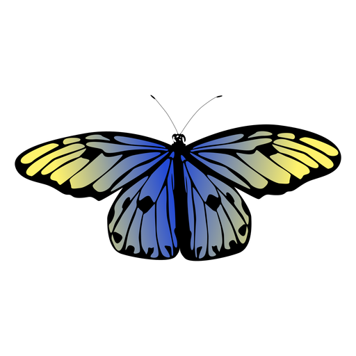 Blaues detailliertes Schmetterlingsdesign PNG-Design