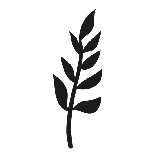 Zweig mit Blättern Symbol PNG-Design