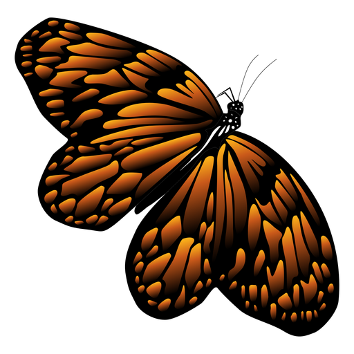 Free Free 191 Butterfly Svg Transparent SVG PNG EPS DXF File