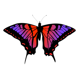 Butterfly insect vector Butterfly insect vector