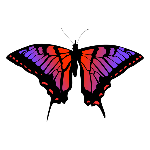 Schmetterlingsinsektenvektor PNG-Design